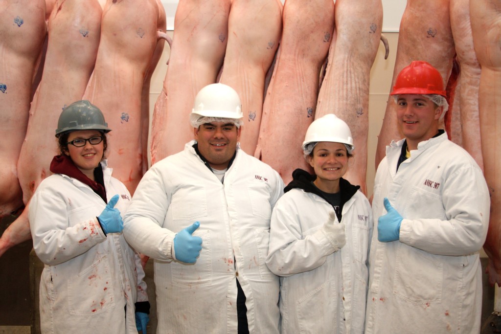 Kate McCarthy, Andrew Fry, Leslie Frenzel, and Cameron Olson collecting pork carcass data