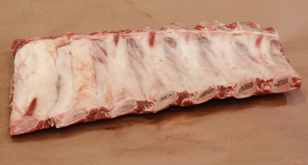 124 Beef Rib, Back Ribs (medial view)